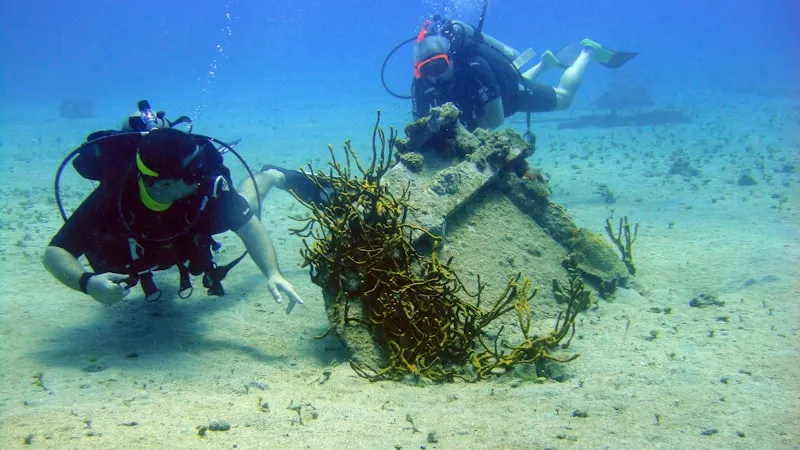 Two scuba divers exploring a coral reef in the Caribbean