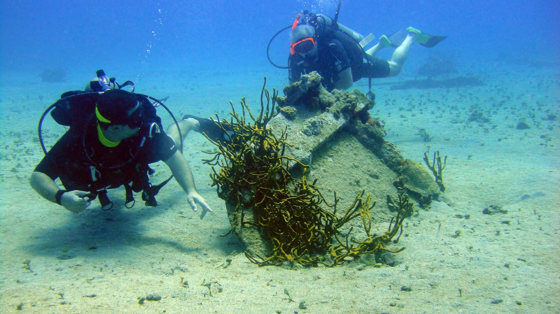 Two scuba divers exploring a coral reef in the Caribbean